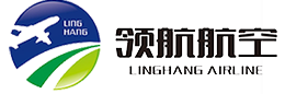 深圳市领航航空服务有限公司